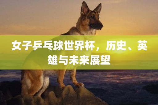 女子乒乓球世界杯，历史、英雄与未来展望漯河市盈旭机械设备有限公司