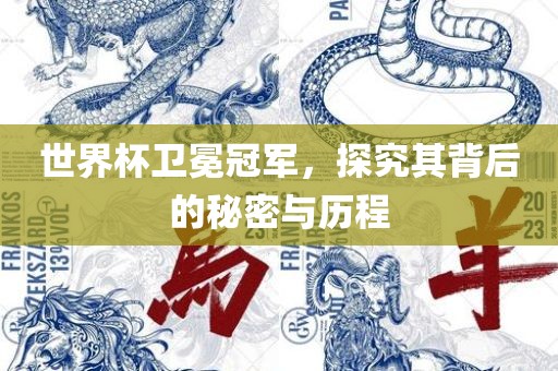 世界杯卫冕冠军，探究其背后的秘密与历程