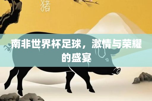 南非世界杯足球，激情与荣耀的盛宴