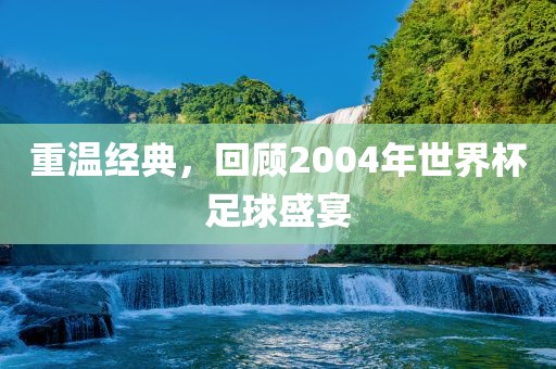 重温经典，回顾2004年世界杯足球盛宴