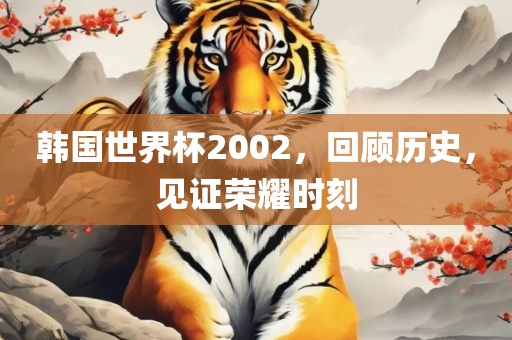 韩国世界杯2002，回顾历史，见证荣耀时刻漯河市盈旭机械设备有限公司