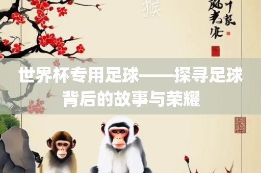 世界杯专用足球——探寻足球背后的故事与荣耀