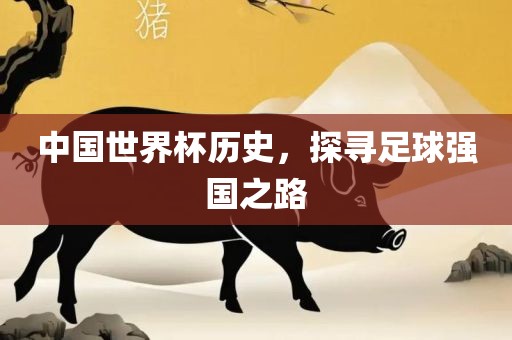 中国世界杯历史，探寻足球强国之路