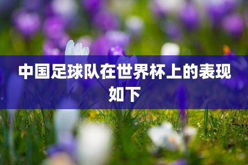 中国足球队在世界杯上的表现如下
