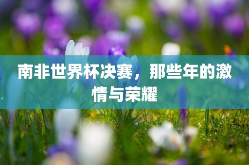 南非世界杯决赛，那些年的激情与荣耀漯河市盈旭机械设备有限公司