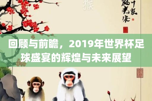 回顾与前瞻，2019年世界杯足球盛宴的辉煌与未来展望