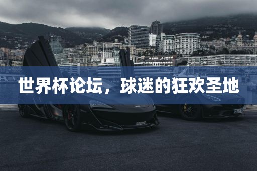 世界杯论坛，球迷的狂欢圣地