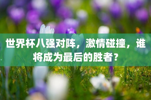世界杯八强对阵，激情碰撞，谁将成为最后的胜者？