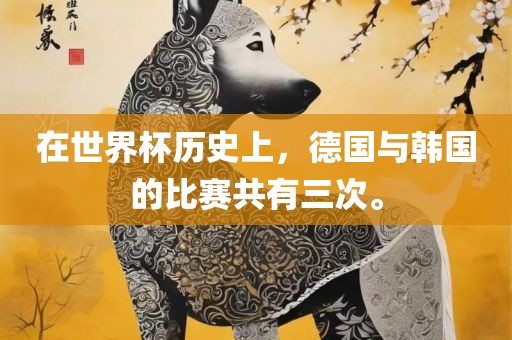 在世界杯历史上，德国与韩国的比赛共有三次。