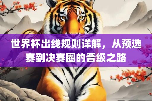 世界杯出线规则详解，从预选赛到决赛圈的晋级之路
