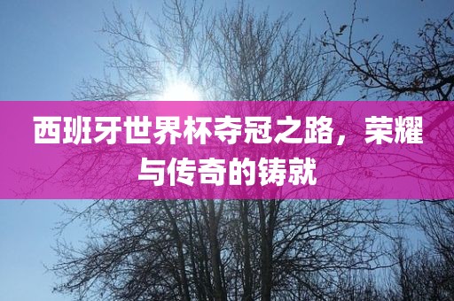 西班牙世界杯夺冠之路，荣耀与传奇的铸就