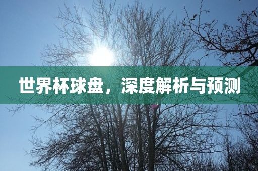 世界杯球盘，深度解析与预测