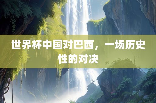 世界杯中国对巴西，一场历史性的对决漯河市盈旭机械设备有限公司