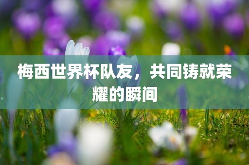 梅西世界杯队友，共同铸就荣耀的瞬间