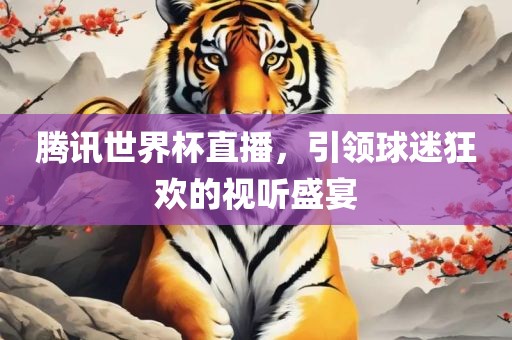 腾讯世界杯直播，引领球迷狂欢的视听盛宴