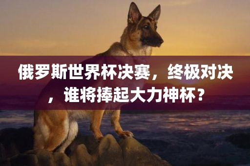 俄罗斯世界杯决赛，终极对决，谁将捧起大力神杯？
