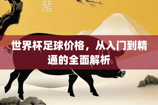 世界杯足球价格，从入门到精通的全面解析