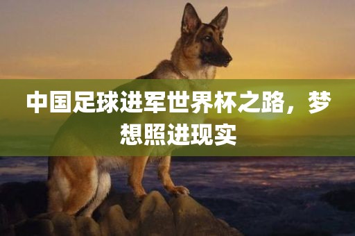 中国足球进军世界杯之路，梦想照进现实