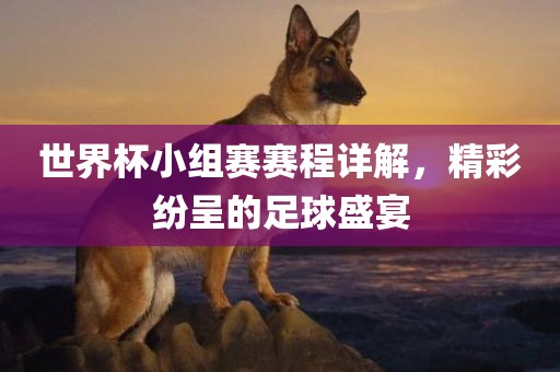 世界杯小组赛赛程详解，精彩纷呈的足球盛宴漯河市盈旭机械设备有限公司
