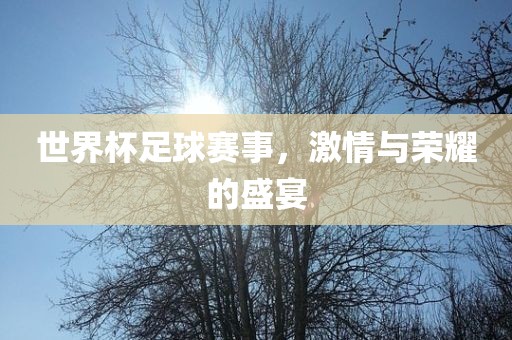 世界杯足球赛事，激情与荣耀的盛宴