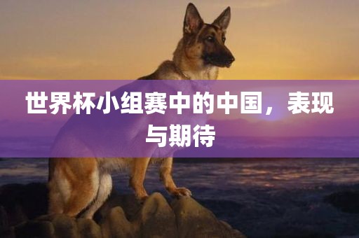 世界杯小组赛中的中国，表现与期待