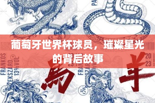 葡萄牙世界杯球员，璀璨星光的背后故事