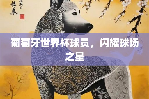 葡萄牙世界杯球员，闪耀球场之星