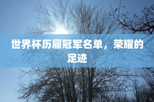 世界杯历届冠军名单，荣耀的足迹