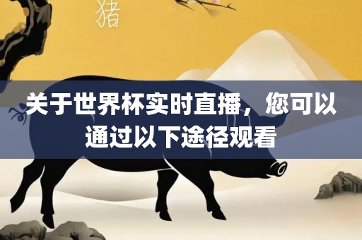 关于世界杯实时直播，您可以通过以下途径观看