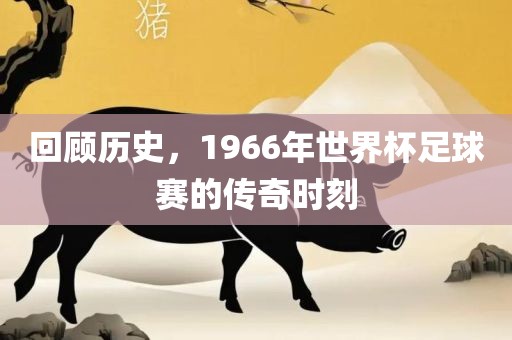 回顾历史，1966年世界杯足球赛的传奇时刻漯河市盈旭机械设备有限公司