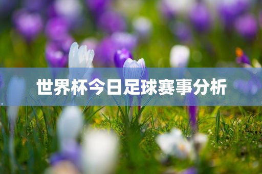 世界杯今日足球赛事分析