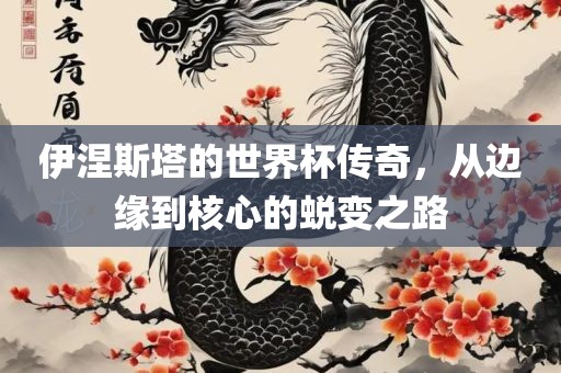 伊涅斯塔的世界杯传奇，从边缘到核心的蜕变之路