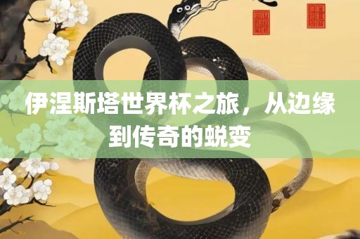 伊涅斯塔世界杯之旅，从边缘到传奇的蜕变