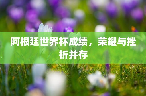 阿根廷世界杯成绩，荣耀与挫折并存