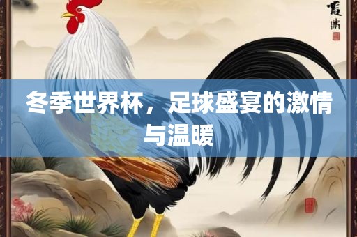冬季世界杯，足球盛宴的激情与温暖