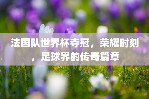 法国队世界杯夺冠，荣耀时刻，足球界的传奇篇章