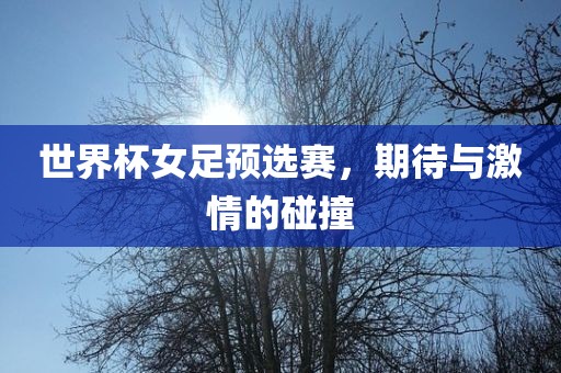 世界杯女足预选赛，期待与激情的碰撞漯河市盈旭机械设备有限公司