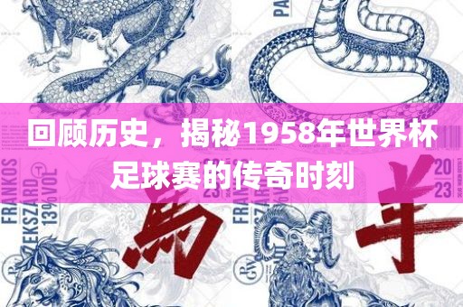 回顾历史，揭秘1958年世界杯足球赛的传奇时刻漯河市盈旭机械设备有限公司
