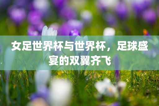 足球盛宴 第15页