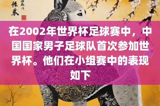 在2002年世界杯足球赛中，中国国家男子足球队首次参加世界杯。他们在小组赛中的表现如下