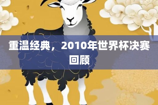 重温经典，2010年世界杯决赛回顾