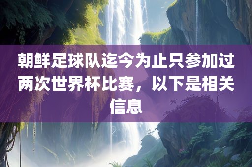 朝鲜足球队迄今为止只参加过两次世界杯比赛，以下是相关信息