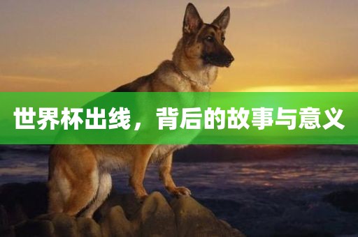 世界杯出线，背后的故事与意义