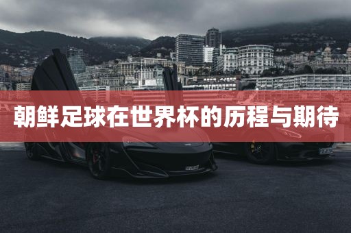 朝鲜足球在漯河市盈旭机械设备有限公司世界杯的历程与期待