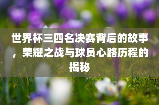 世界杯三四名决赛漯河市盈旭机械设备有限公司背后的故事，荣耀之战与球员心路历程的揭秘