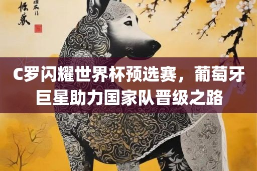 C罗闪耀世界杯预选赛，葡萄牙巨星助力国家队晋级之路