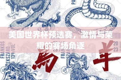 美国世界杯预选赛，激情与荣耀的赛场角逐