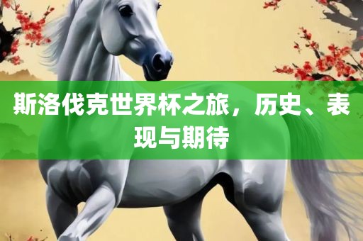 斯洛伐克世界杯之旅，历史、表现与期待