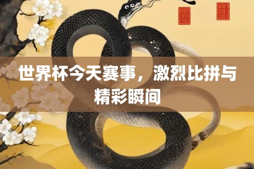 世界杯今天赛事，激烈比拼与精彩瞬间