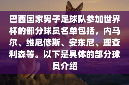 世界杯球员名单
